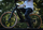 Biçikletë malore Romet Rambler Dirt 24", 21 marshe Shimano, frena me disk, e zezë