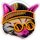 Dritë muri LED Neon ART CAT DREAMER 14-433, USB 5V, me shumë ngjyra