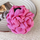 Kapëse flokësh Ecarla me trëndafil dekorativ, 9 x 9 cm, fuchsia