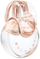 Eau de Toilette Bvlgari Omnia Crystalline, për femra, 30 ml