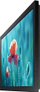 Ekran profesional Samsung QB13R-M, 13", Full HD, Wi-Fi, i zi