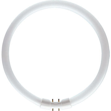 Llambë fluroshente e rrumbullakët Philips Master TL5 T, 2GX13, 55 W, 4200 lm, 3000 K