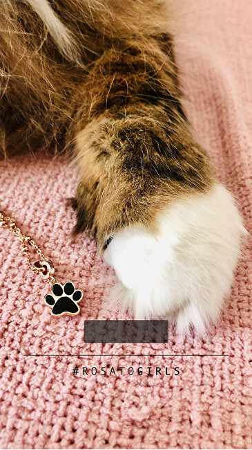 Varëse Rosato Dog Paw RZ121