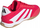Këpucë futbolli sallë Adidas Predator League IN JR3125, për të rritur, të kuqe
