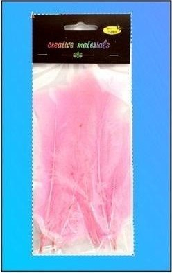 Pupla dekorative Galeria Hobby Soft Feathers, 13–17cm, 15 copë, rozë e çelët