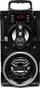 Kaltoparlant Bluetooth Squeak BeatBoxer SQ1000, karaoke, radio FM, i zi