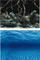 Sfond për akuarium Aqua Nova Roots/Water, L/100x50cm, i kaltër/i zi