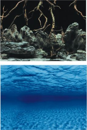 Sfond për akuarium Aqua Nova Roots/Water, L/100x50cm, i kaltër/i zi