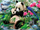 Set mozaiku me diamante Norimpex Panda, 5D, 40x30cm, shumëngjyrësh