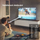 Televizor Philips 43PUS7608, 43" (108cm), 4K UHD, i zi