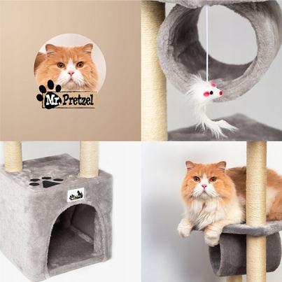 Product Picture