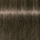 Ngjyrë për flokë Schwarzkopf Igora Royal, Cendre 6-1, 60 ml