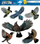 Etiketa paralajmëruese HERMA Warning Birds, 300 x 300 mm, shumëngjyrëshe