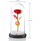 Trëndafil i përjetshëm Extralink Home Everlasting Rose in Glass, me dritë LED, i kuq