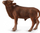 Figurë Collecta: Ankole-Watusi Calf, S, +3 vjeç