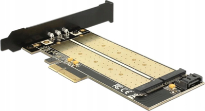 Kartë zgjeruese DeLOCK 89630, PCI Express, 2x M.2 SATA PCIe, e brendshme