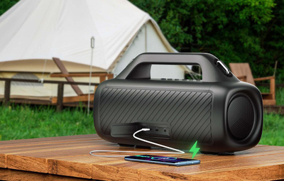Блутут звучник EarFun Uboom X, 30 часа батерија, црн