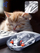Maus Defender IXES MM-999, wireless RF edhe Bluetooth, RGB, transparent