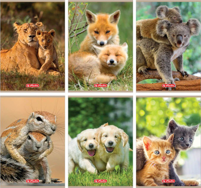 Fletore me katrorë Animals A5 32K, 10 copë, shumëngjyrëshe