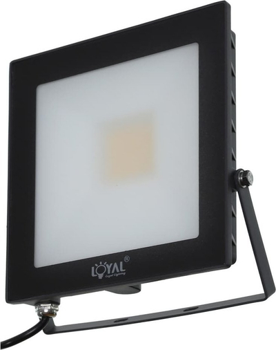 Reflektor LED Loyal Lighting LY-FLE30, 30W, 4250 lm, 4000K, IP65, i zi