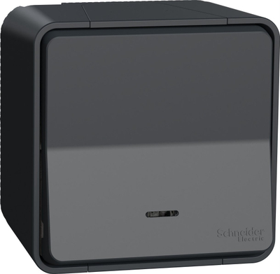 Buton me ndriçim Schneider Electric Mureva Styl MUR35028, IP55, LED, antracit