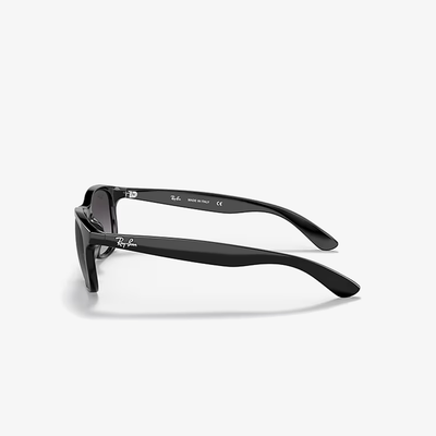 Ray-Ban RB4202 601/8G 55