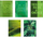 Bllok me katrorë Promised Land A5 Think Green, 96 fletë, set 5 copë, jeshil