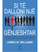 Si Te Dalloni Nje Genjeshtar - James W. Williams