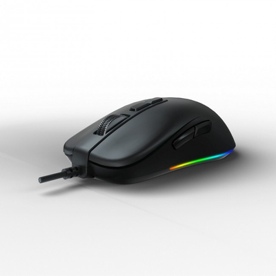 Maus AOC GM300B, i zi
