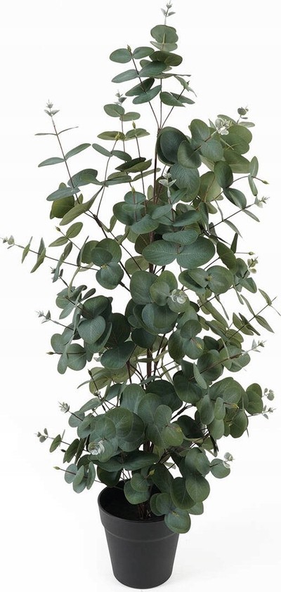 Bimë artificjale Present Time Kunstplant Eucalyptus Leaf Large, 30x30x78cm, e gjelbër