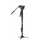 Monopod Manfrotto Video