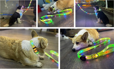 Leash për qen SIGNAL LEASH, me LED shumëngjyrësh, i rikarikueshëm, i kuq