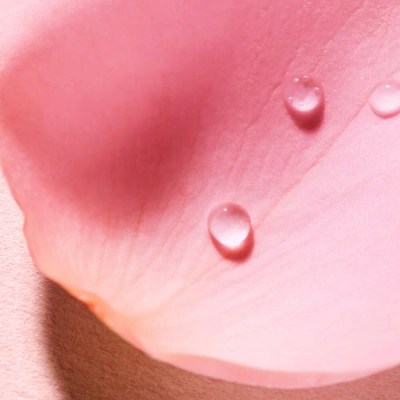 Ujë parfumi Nuxe Very Rose, trëndafil, 100ml, rozë