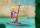 Set lodrash Playmobil Wiltopia 71143 Paddling Tour, 44 pjesë, për kalamaj 4–10 vjeç, shumëngjyrësh
