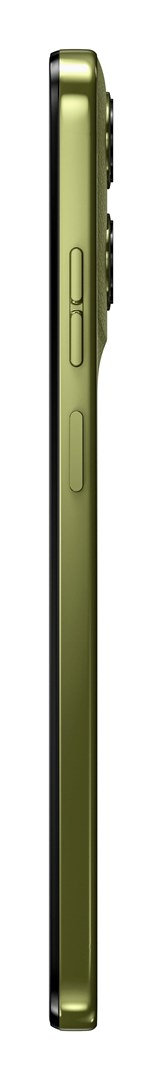 Kartelë ngjyrash Glidden Iguana Green, mostrë boje, e gjelbër