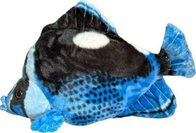 Peshk dekorativ Blue Hepatus, 41cm, blu