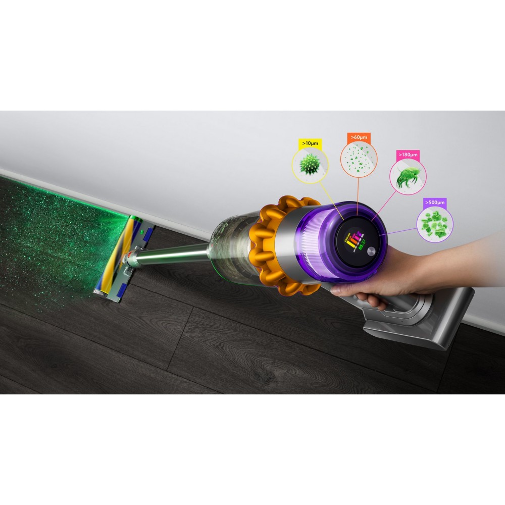 Fshese Dyson V15 Detect Absolute 2
