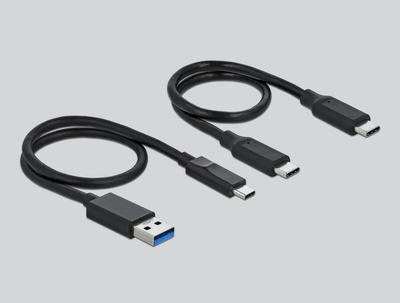 Dok stacion Delock 64000 për M.2 PCIe NVMe, USB C 3.2 Gen 2, gri