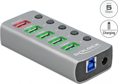 Hub USB DeLOCK 63262, 4 porta USB 3.2 Gen 1, 5 Gbps, gri