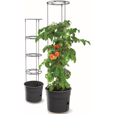 Vazo domatesh Prosperplast Tomato Grower, diametër 30 cm, plastike, grafit