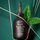Серум за лице Fresh Black Tea Corset Serum Reform, за зацврстување, за зрела кожа