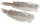 Kabllo rrjeti Patchcord RJ45 UTP Cat 6, 0.5m, gri