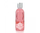 Shampon i trupit Jeanne En Provence Rose Envoutante, 250 ml