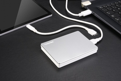 Disk i jashtëm HDD Toshiba Canvio Flex 2TB, i hirtë