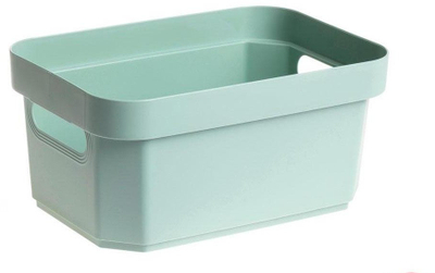 Организациска корпа Domoletti Basket for Cave, 4.5L, 26 x 17 x 12 cm, зелена North Green