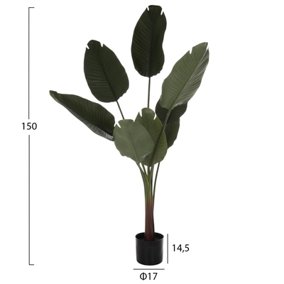 Bimë sintetike Strelitziaceae në vazo (HM7982)