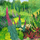 Kartolinë me zarf Kew Botanic Gardens AC10134, pa tekst, shumëngjyrëshe