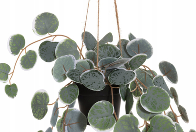 Bimë artificiale varëse 4Living Ceropegia, 40 cm, jeshile