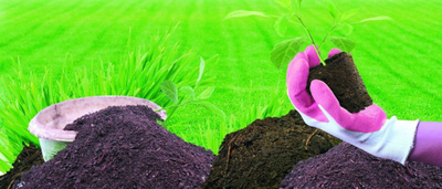 Dorëza kopshti për femra Spontex Lady Garden 310037, M
