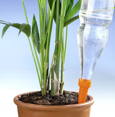 Set ujitës për lule Maximex Flower Waterer WENKO, 6 copë, plastik, portokalli